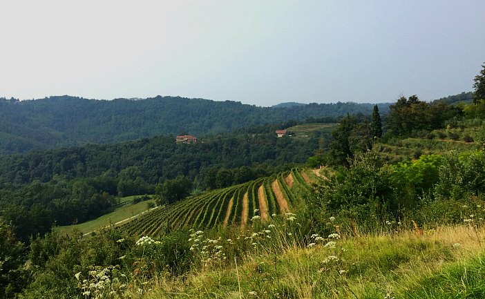 Camminata per il parco del Curone Camminata per il parco del Curone